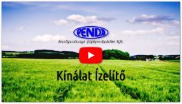 Penda Kft. - Kínálat Ísmertető