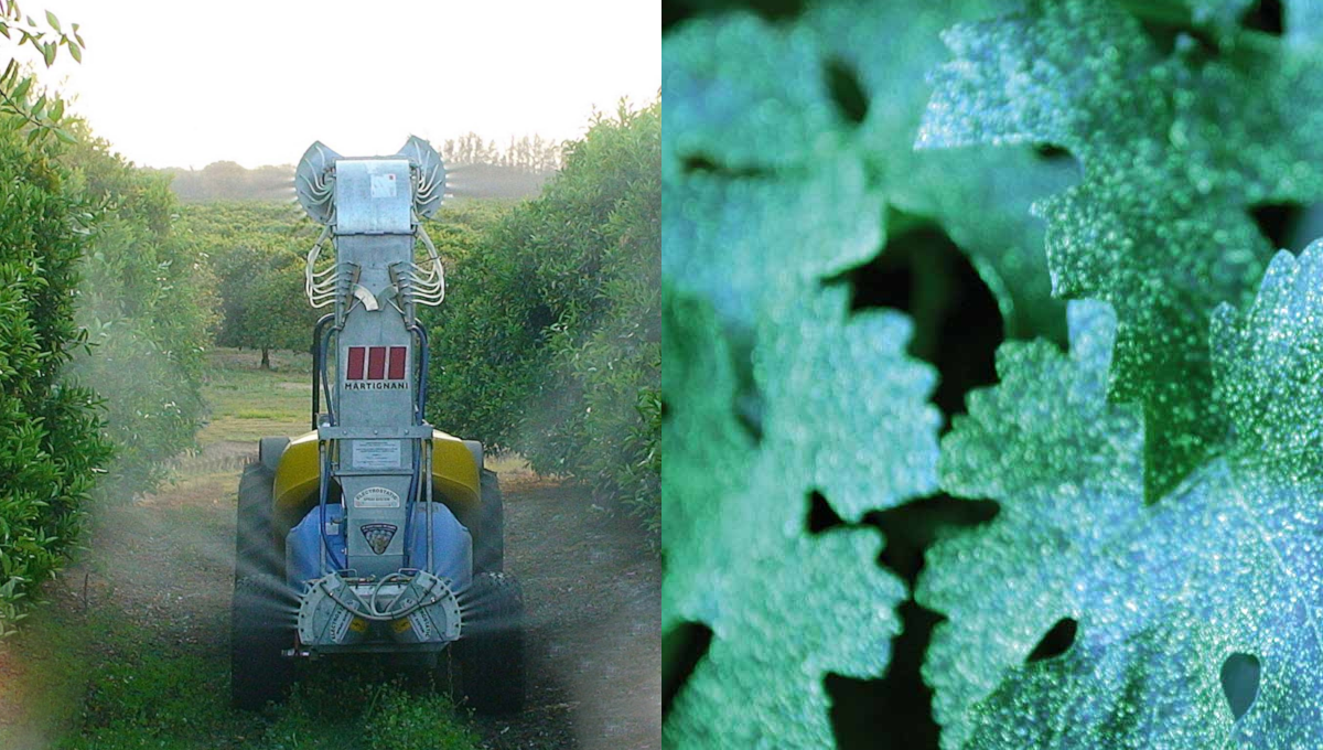 Martignani permetezők