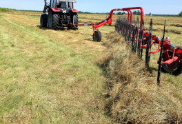 FAZA csillagkerekes rendsodrók