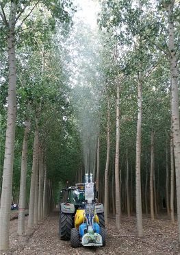 martignani_whirlwind_m612_dif_dio-cso_01