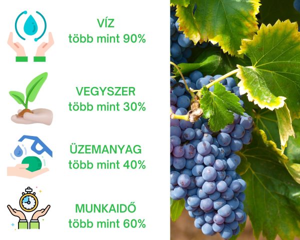viz-tobb-mint-90-1