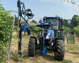 fullsizerender40_boritora