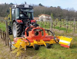 rmv-intercleaner-2_aedes