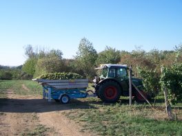 ddf-trasporto-agrofer-2