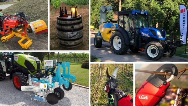 szolo-vegyes_demo-600-x-340-keppont