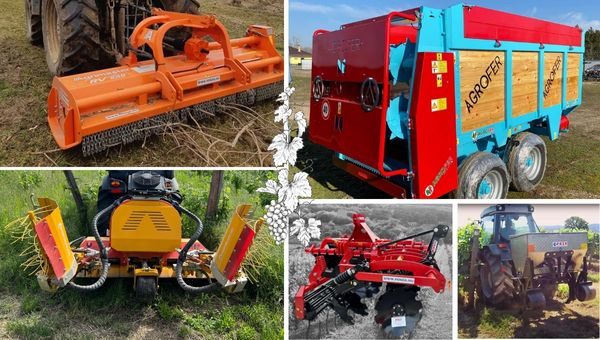 szolo-vegyes_demo_2-600-x-340-keppont