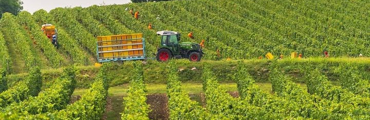 AGROFER láda és konténer szállítók